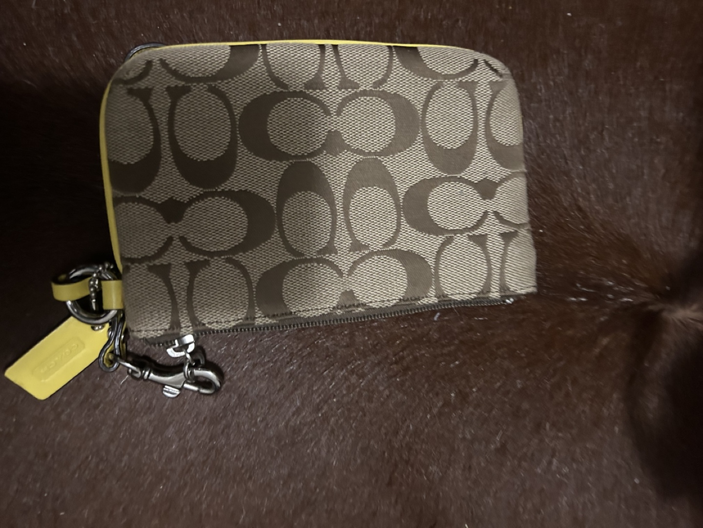 Coin bag image indicator(2)