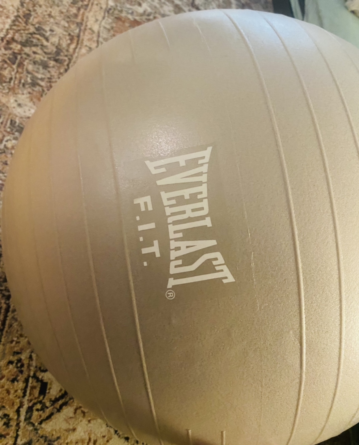 EVERLAST FIT-  Fitness / Exercise Ball thumbnail