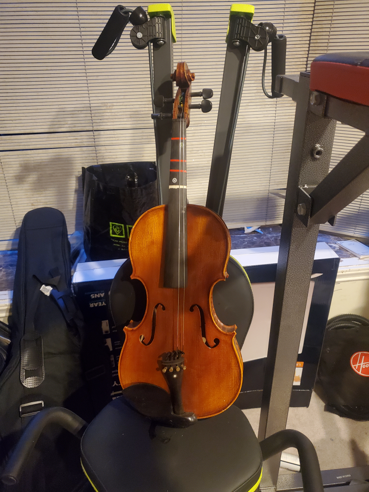 Viola with missing 2 strings thumbnail