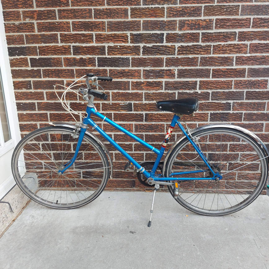 Adult Blue Bicycle Bike thumbnail