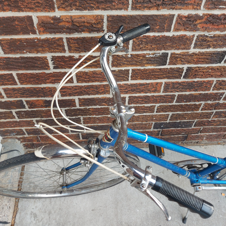 Adult Blue Bicycle Bike image indicator(2)