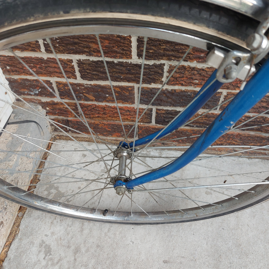 Adult Blue Bicycle Bike image indicator(3)