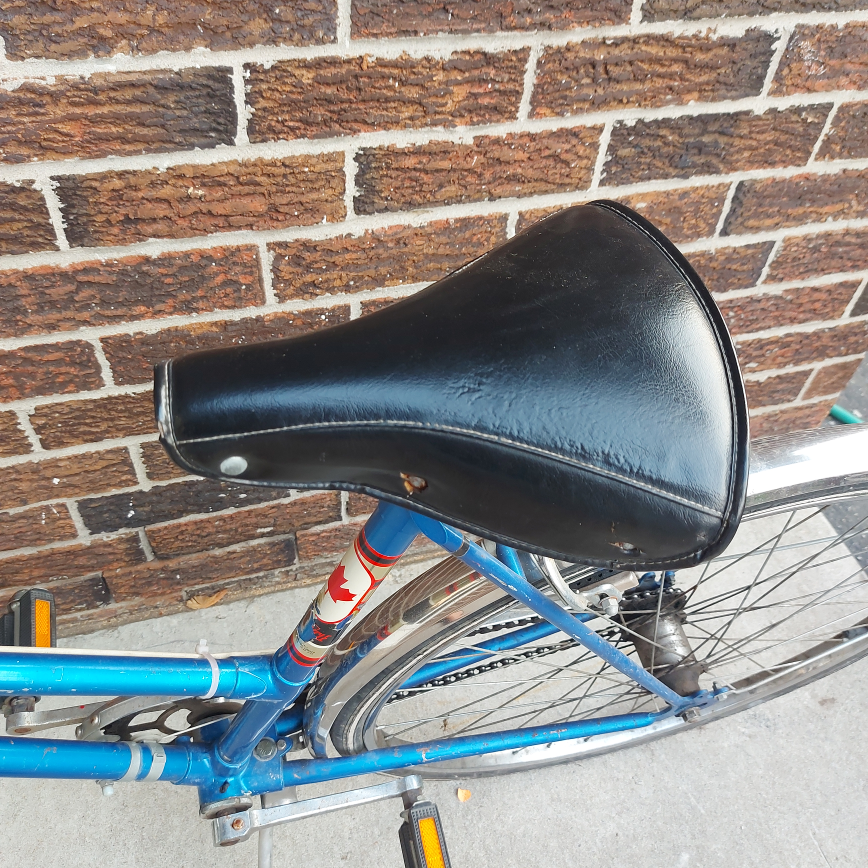 Adult Blue Bicycle Bike image indicator(4)