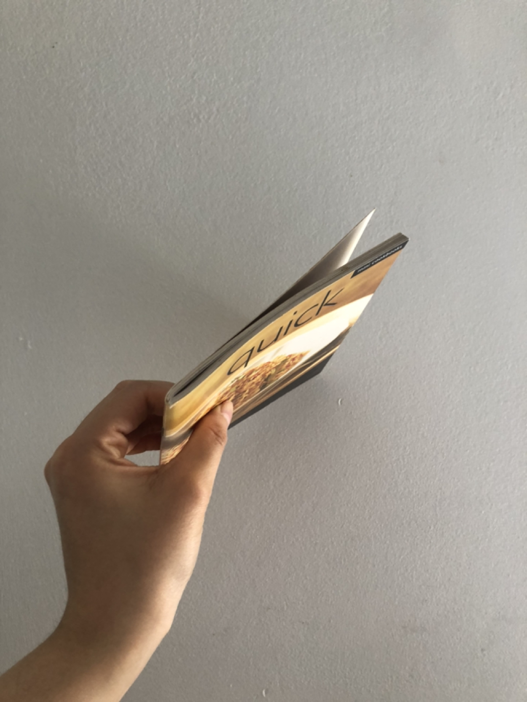 Mini Cookbook (35 recipes Japanese Chinese and more homecooking) image indicator(2)