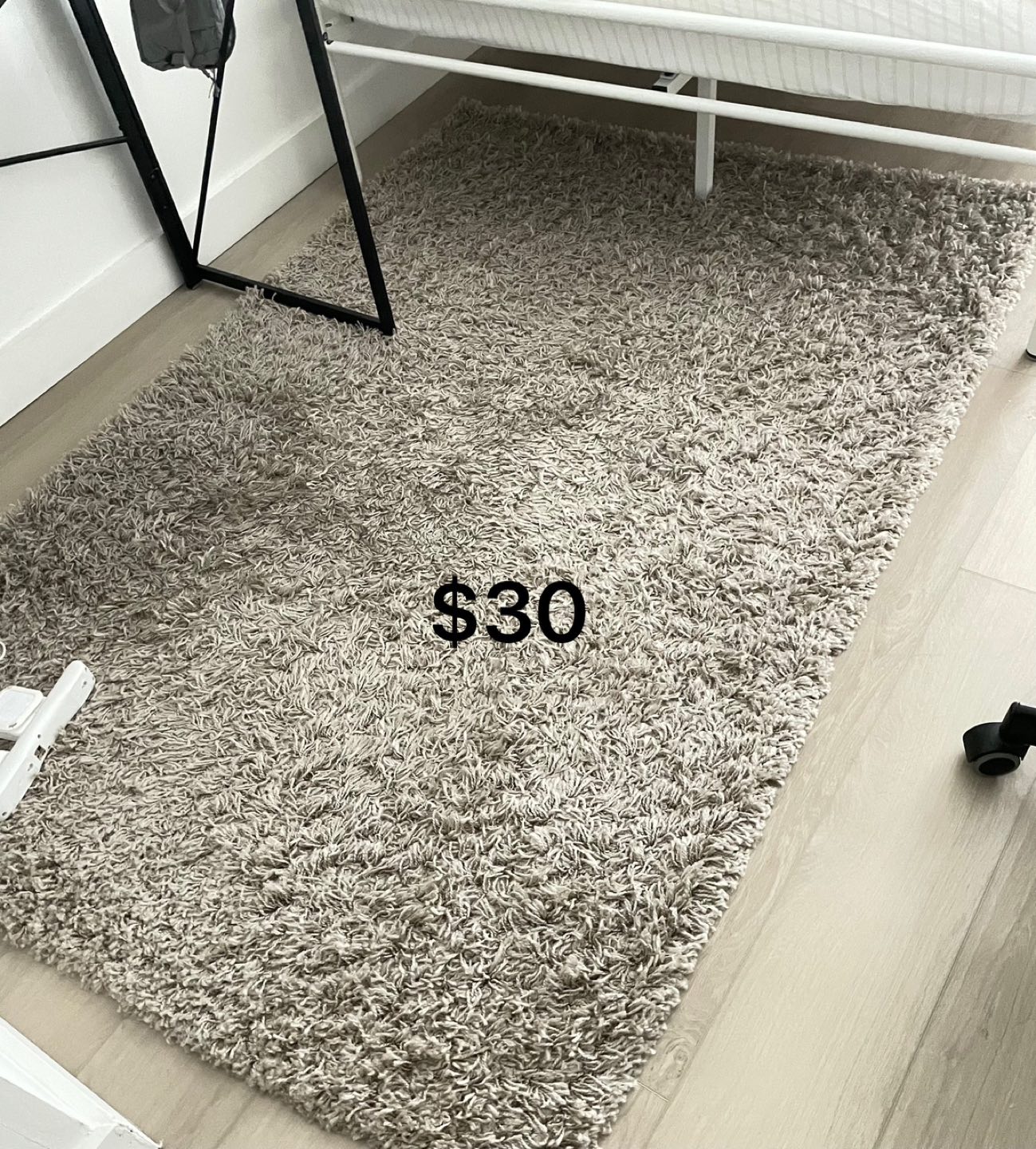 4x6 rug