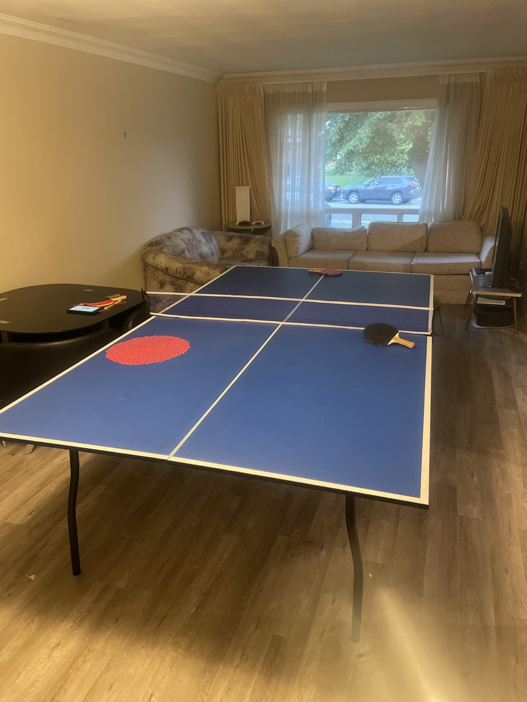 Ping pong / Table Tennis table