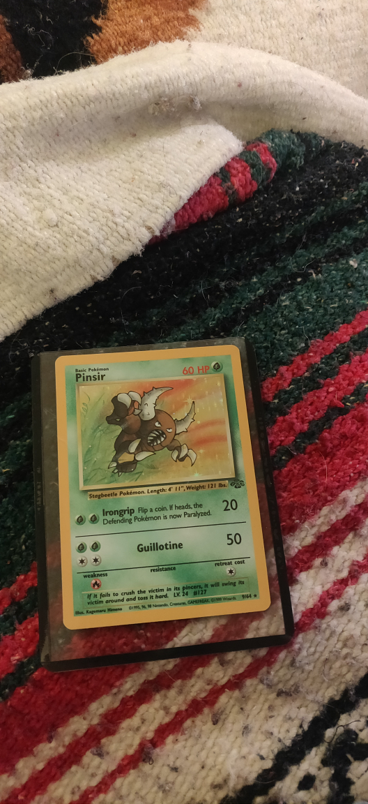 Pinsir Holographic thumbnail