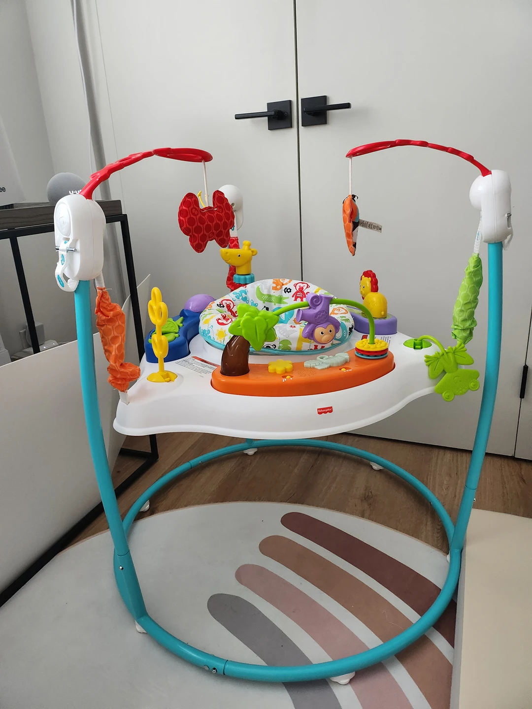 Fisher-Price Animal Activity Jumperoo - photo 2