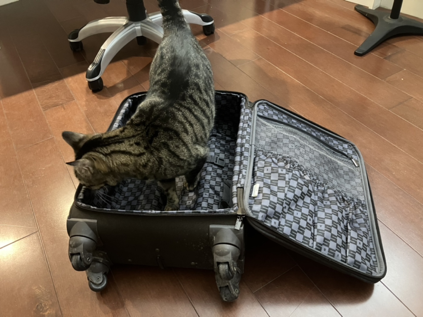 Sisley Suitcase Small - photo 3