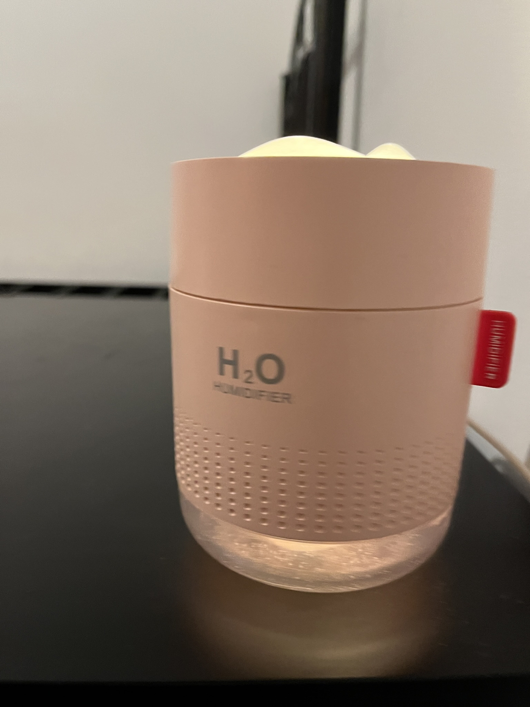 H2O Humidifier - photo 2