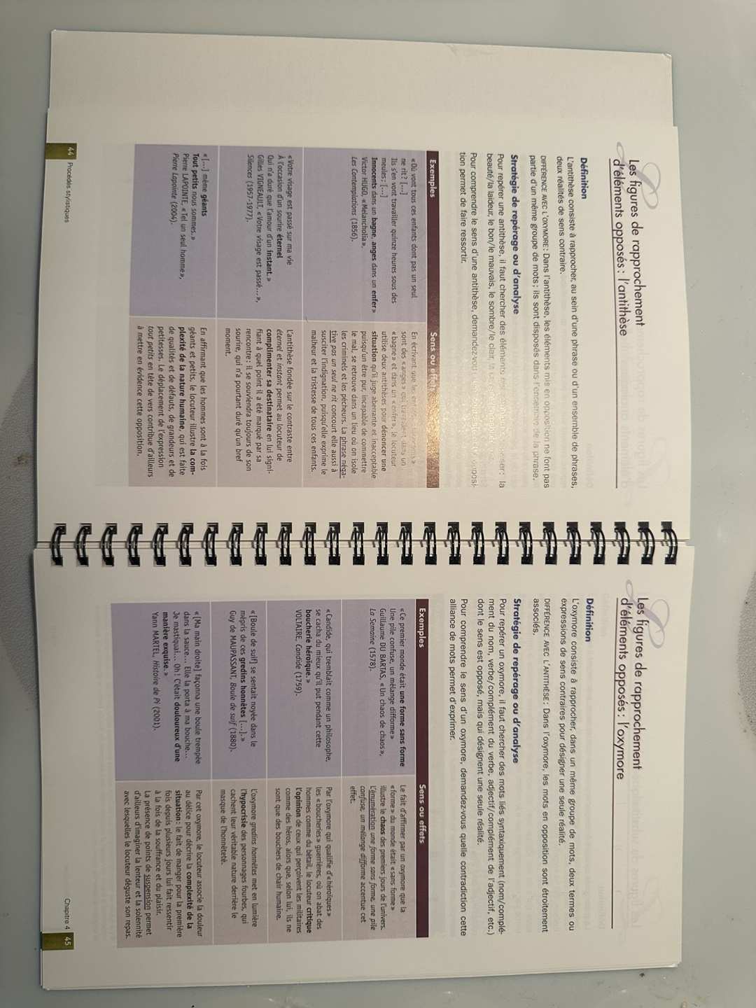 Brand new book on how to write better in French image indicator(4)