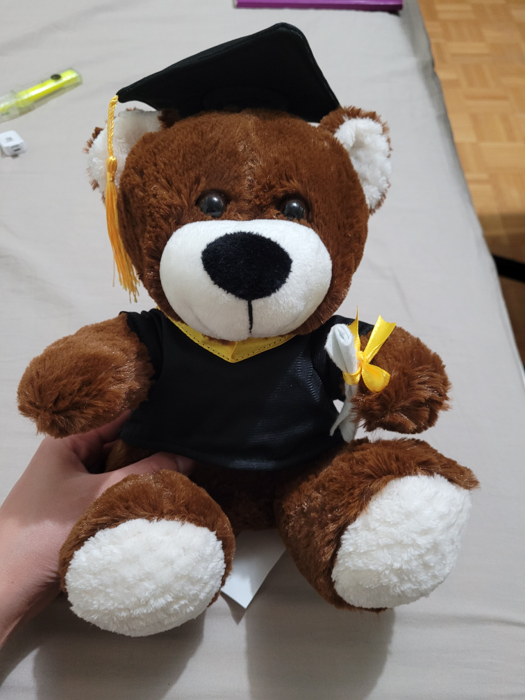Grad Bear Plushie thumbnail