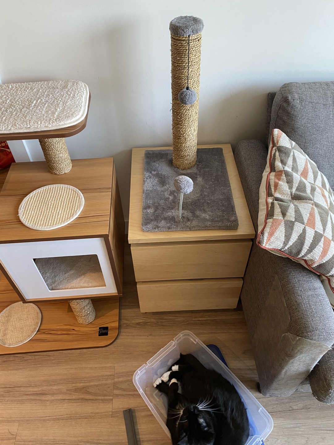 Cat Tree and Scratchpad thumbnail