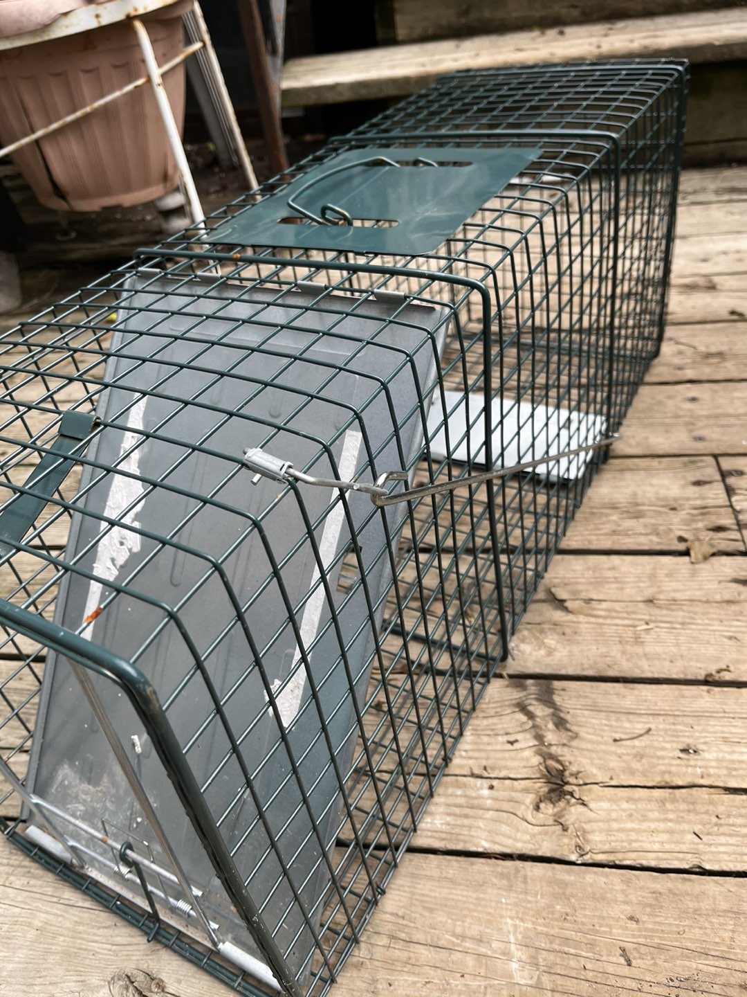 Animal Trap (Will work with Racoons) - photo 3