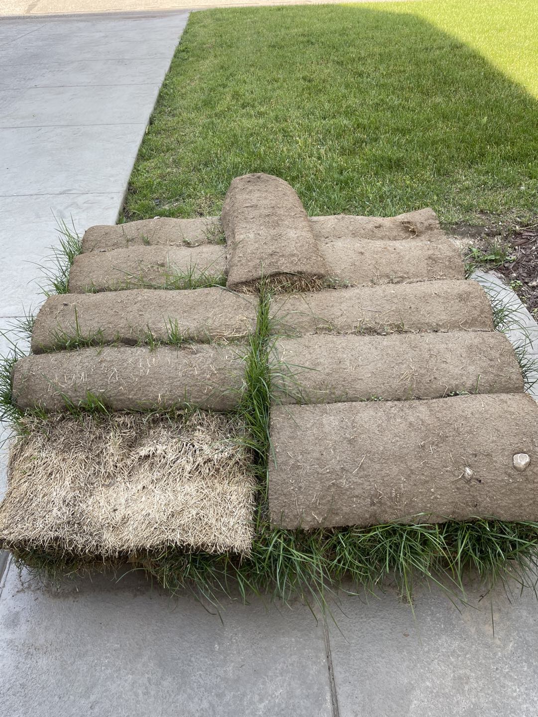 #freecycle sod