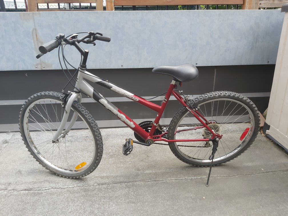 Mountain Bike