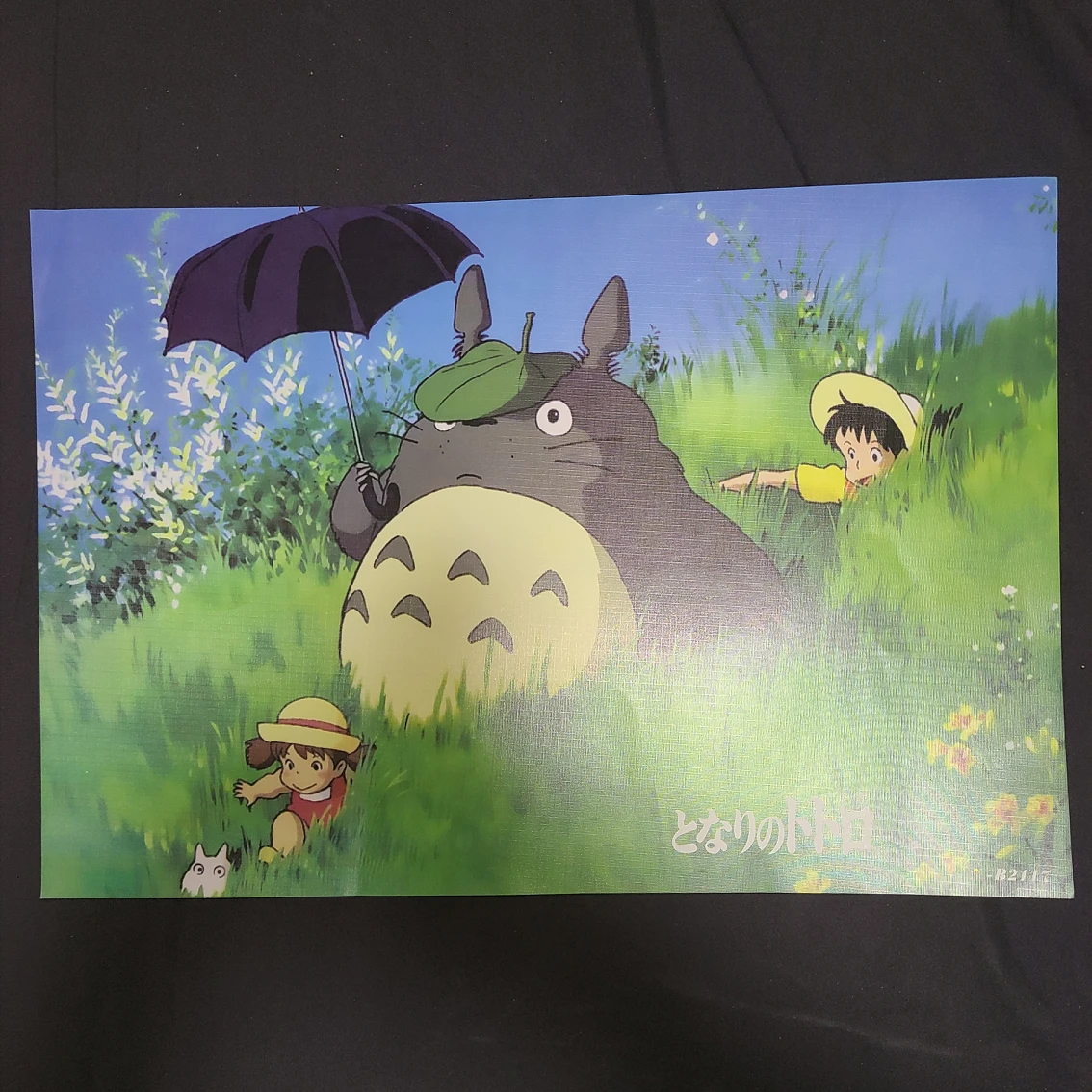 My Neighbour Totoro image indicator(5)