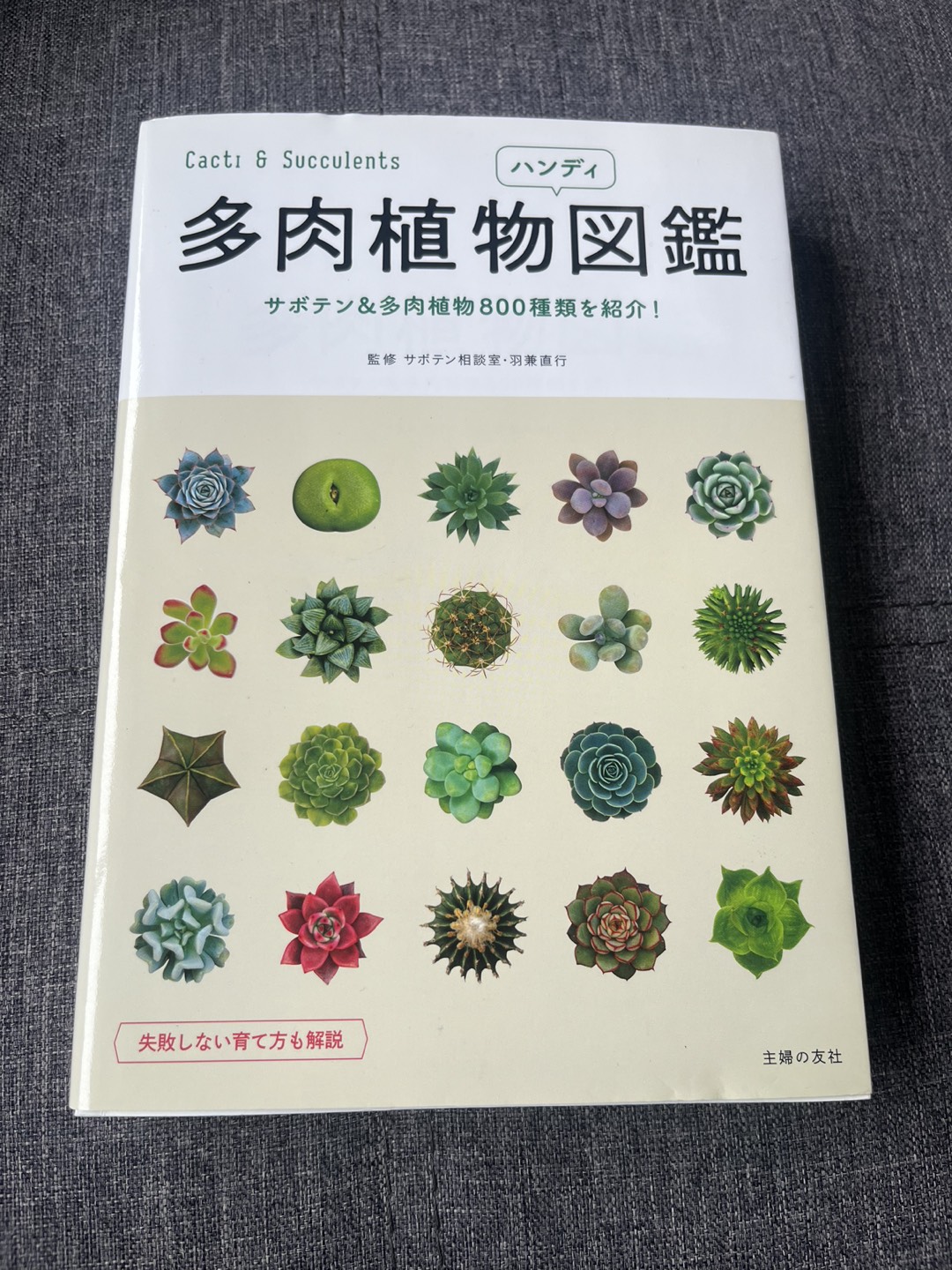 Succulents collection book 📚 thumbnail