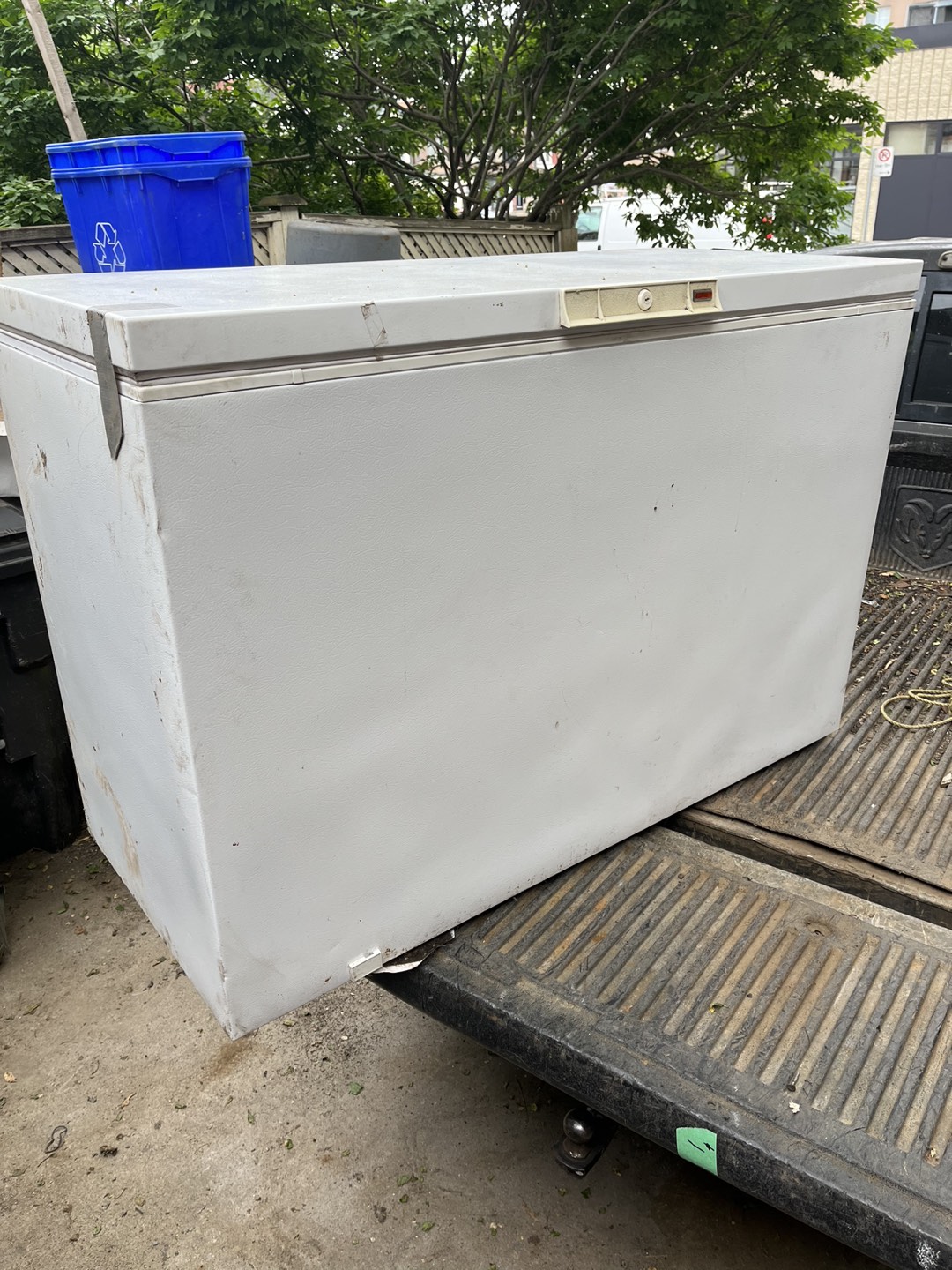 Working 50” x 23” Freezer. thumbnail