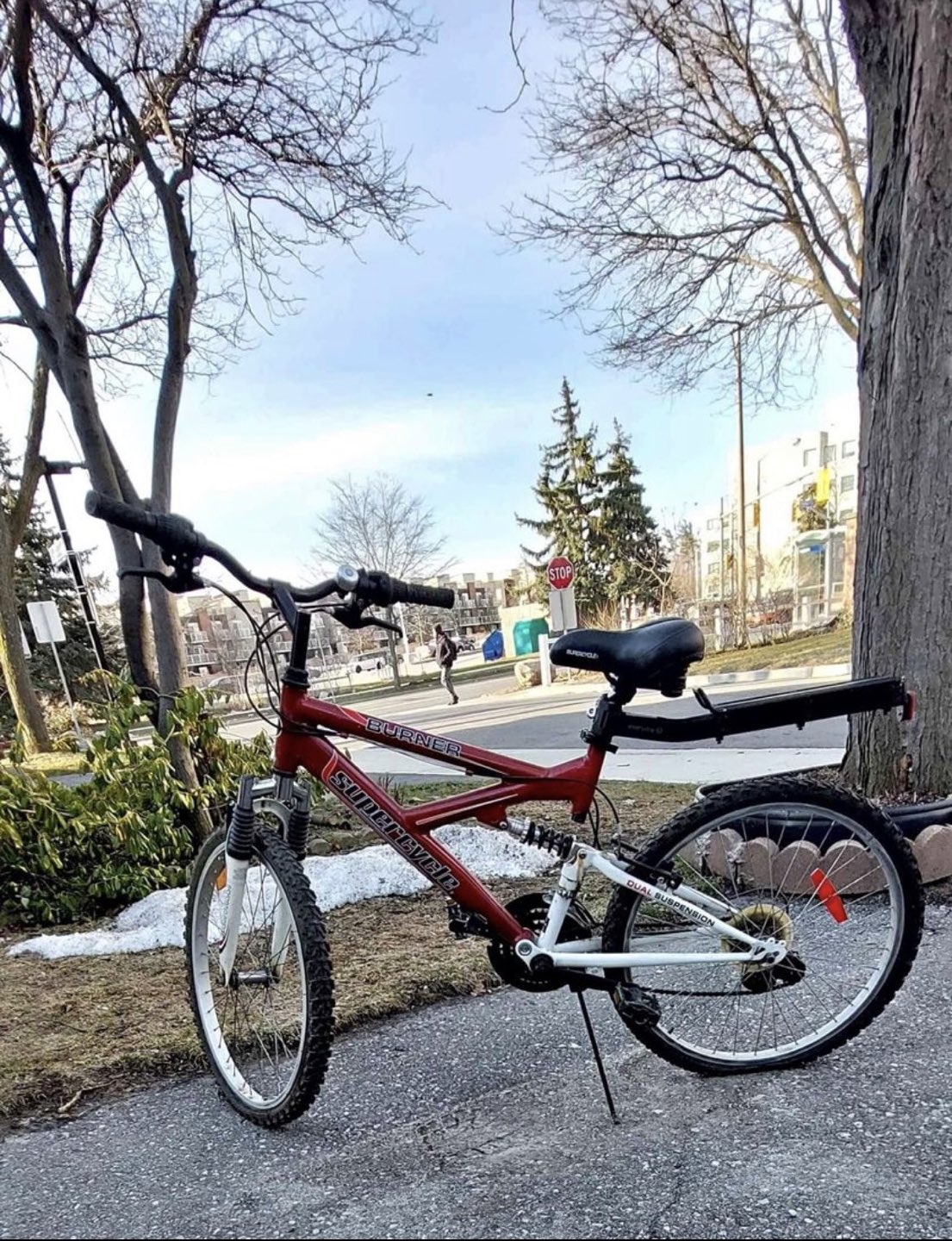 Mountain Bike