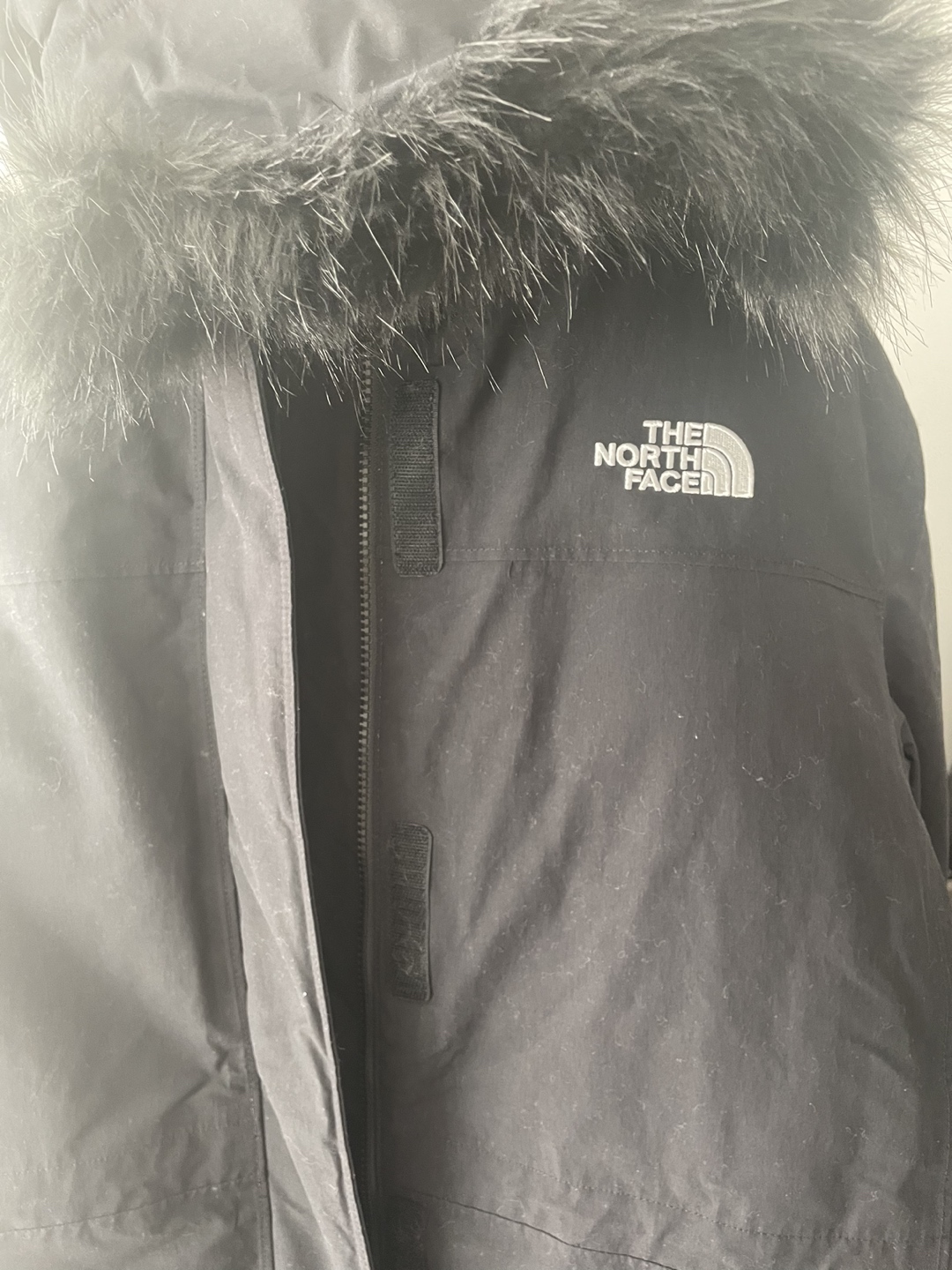 Winter Jacket (Never used)