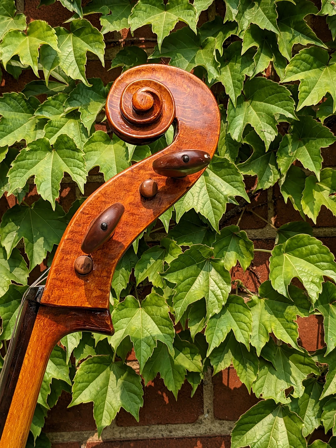 Vintage 7/8 cello + bow for sale - photo 2