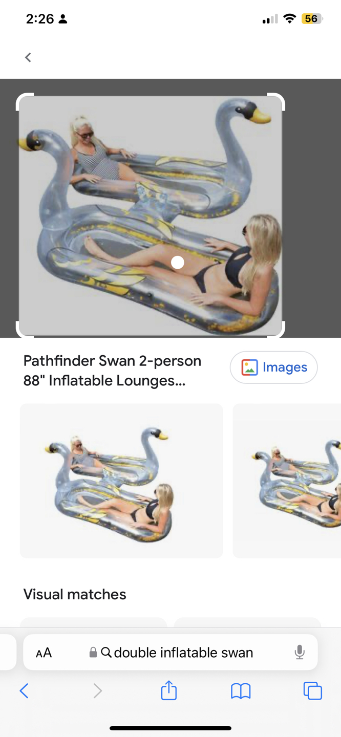 pathfinder swan - photo 2