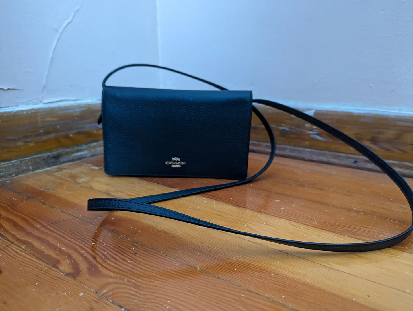 coach bag thumbnail