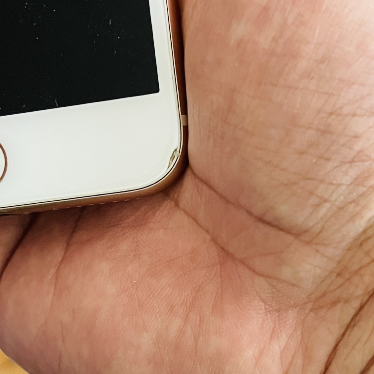 iPhone 8 Plus (with Moment cases) - photo 5