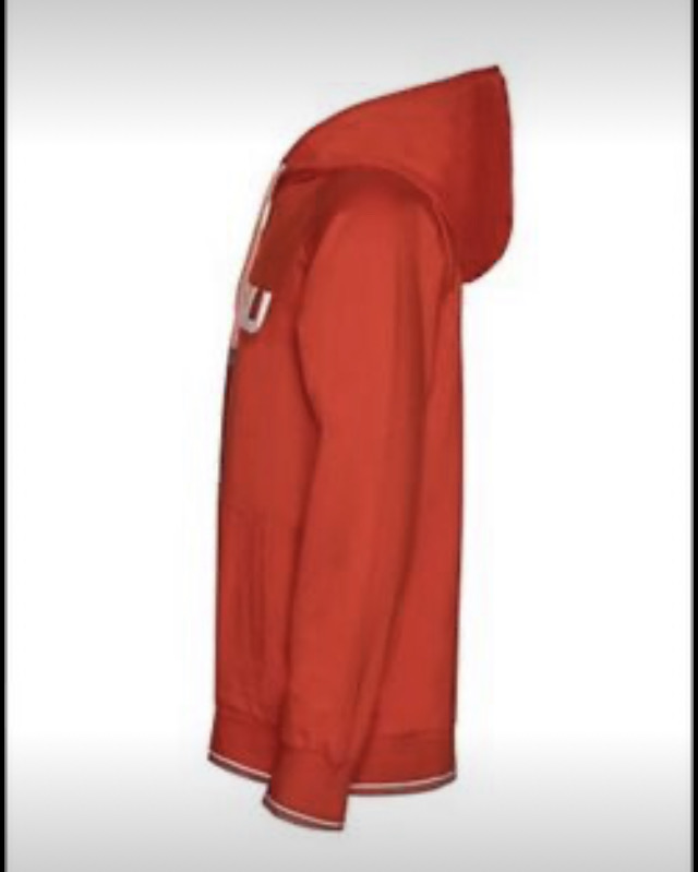 FUBU Men's hoodie orange image indicator(4)