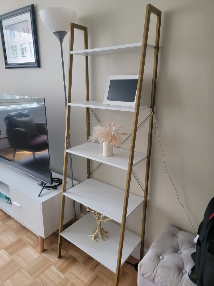 Book Shelf