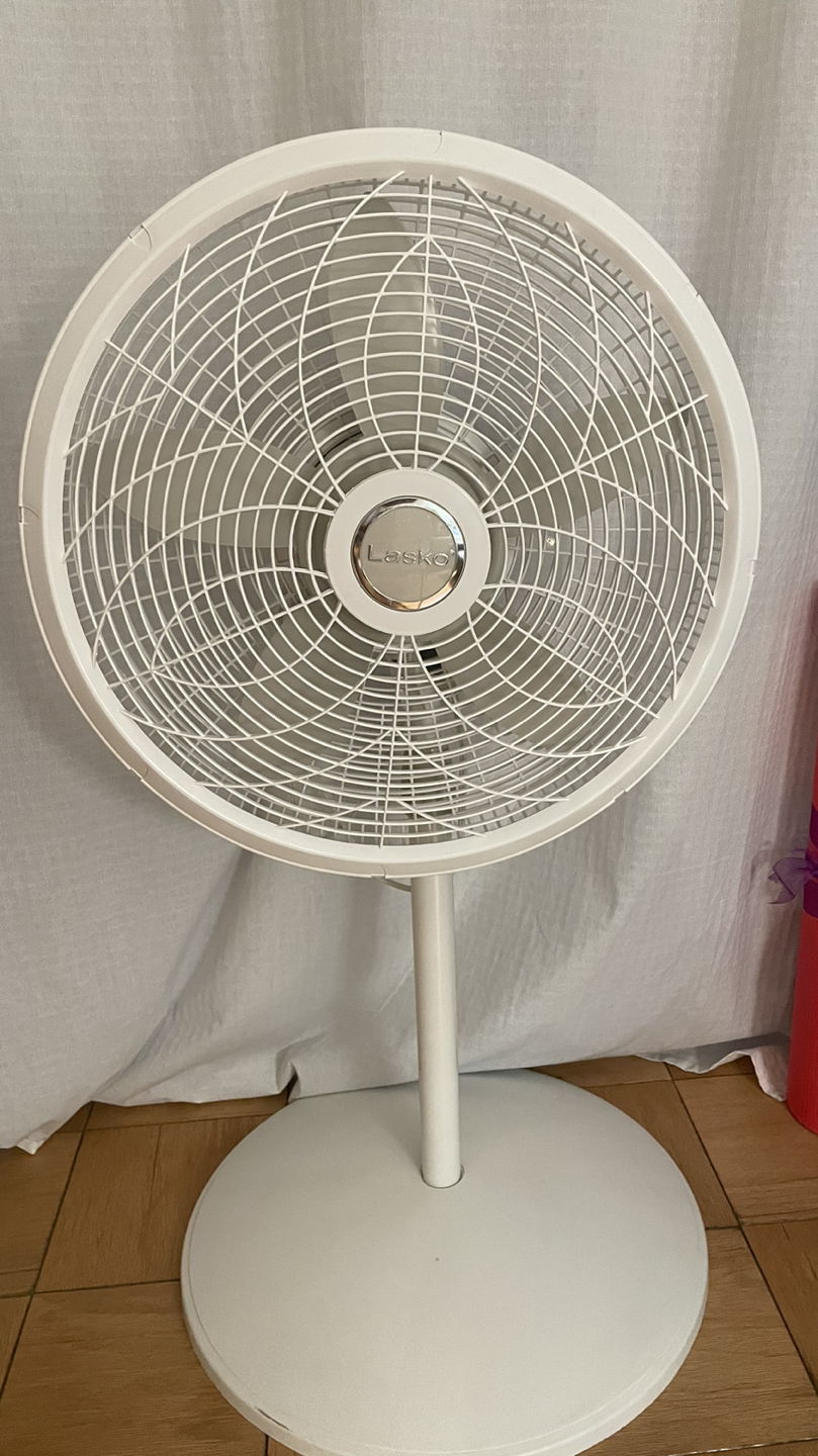 Large fan on sale