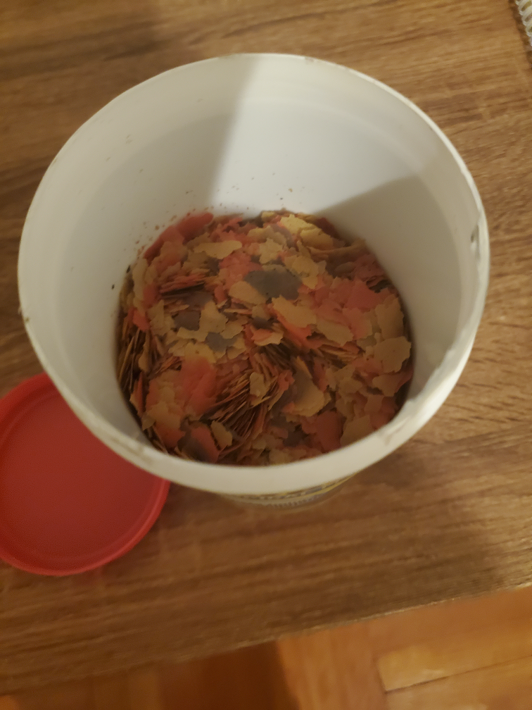 fishfood #freecycle - photo 2