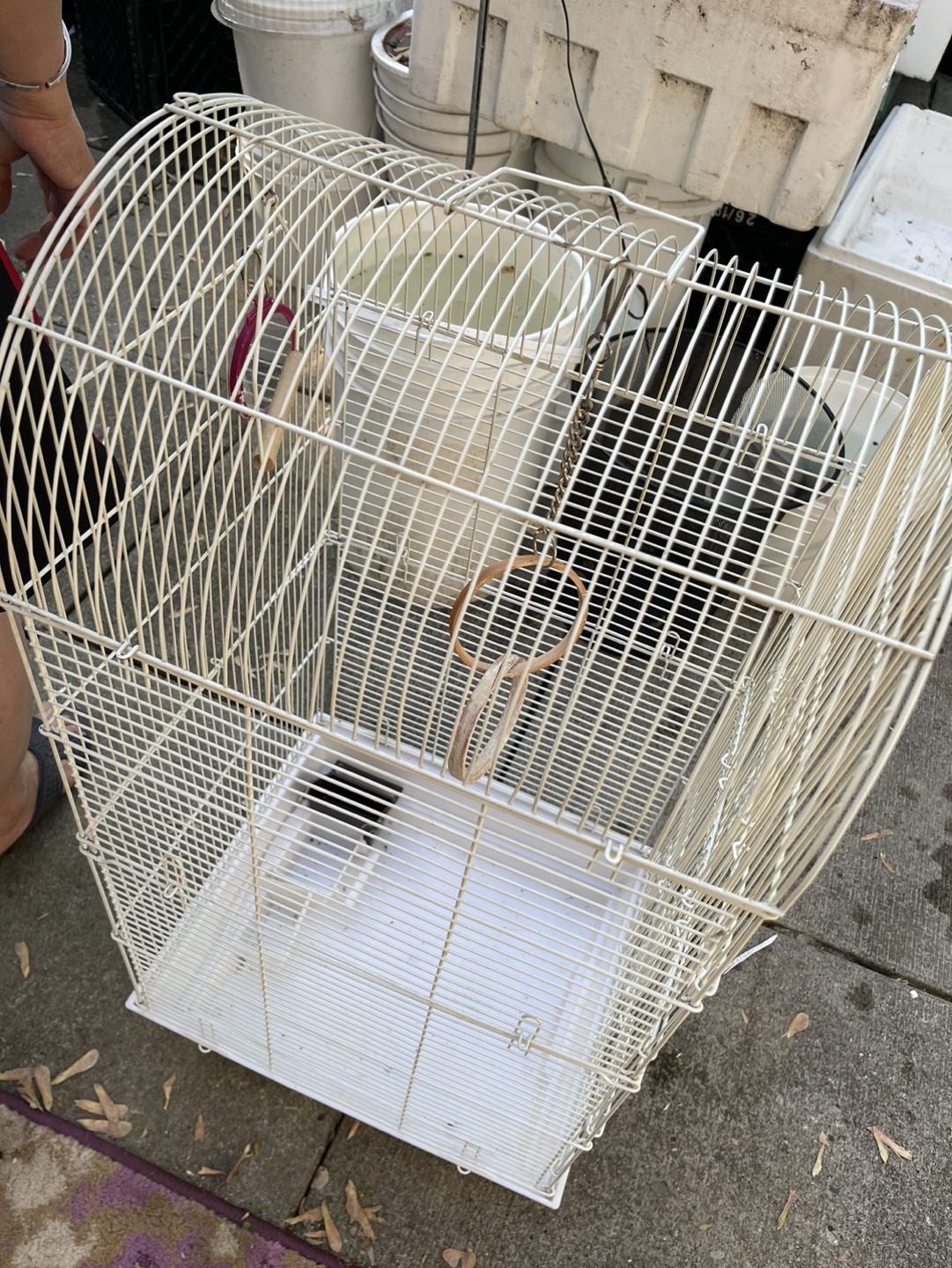 ⬆️ Bird Cage Large thumbnail