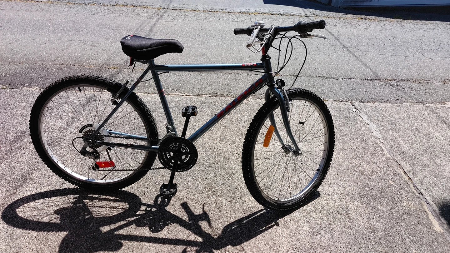 Mountain bike