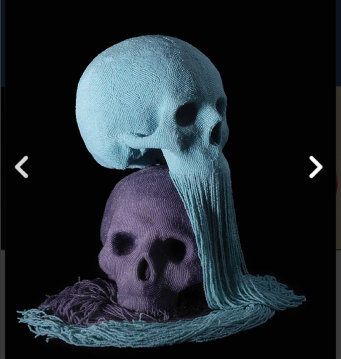 NEW Skullture Coffee Table Book 💀 📖 image indicator(6)