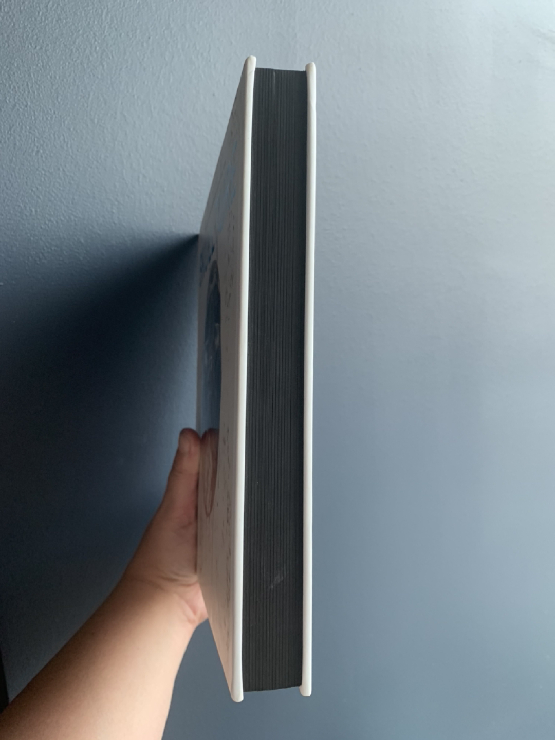 NEW Skullture Coffee Table Book 💀 📖 image indicator(3)