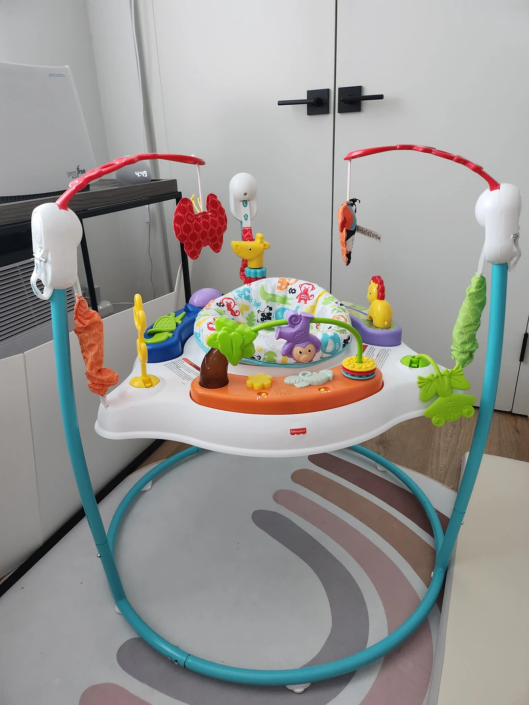 Fisher-Price Animal Activity Jumperoo