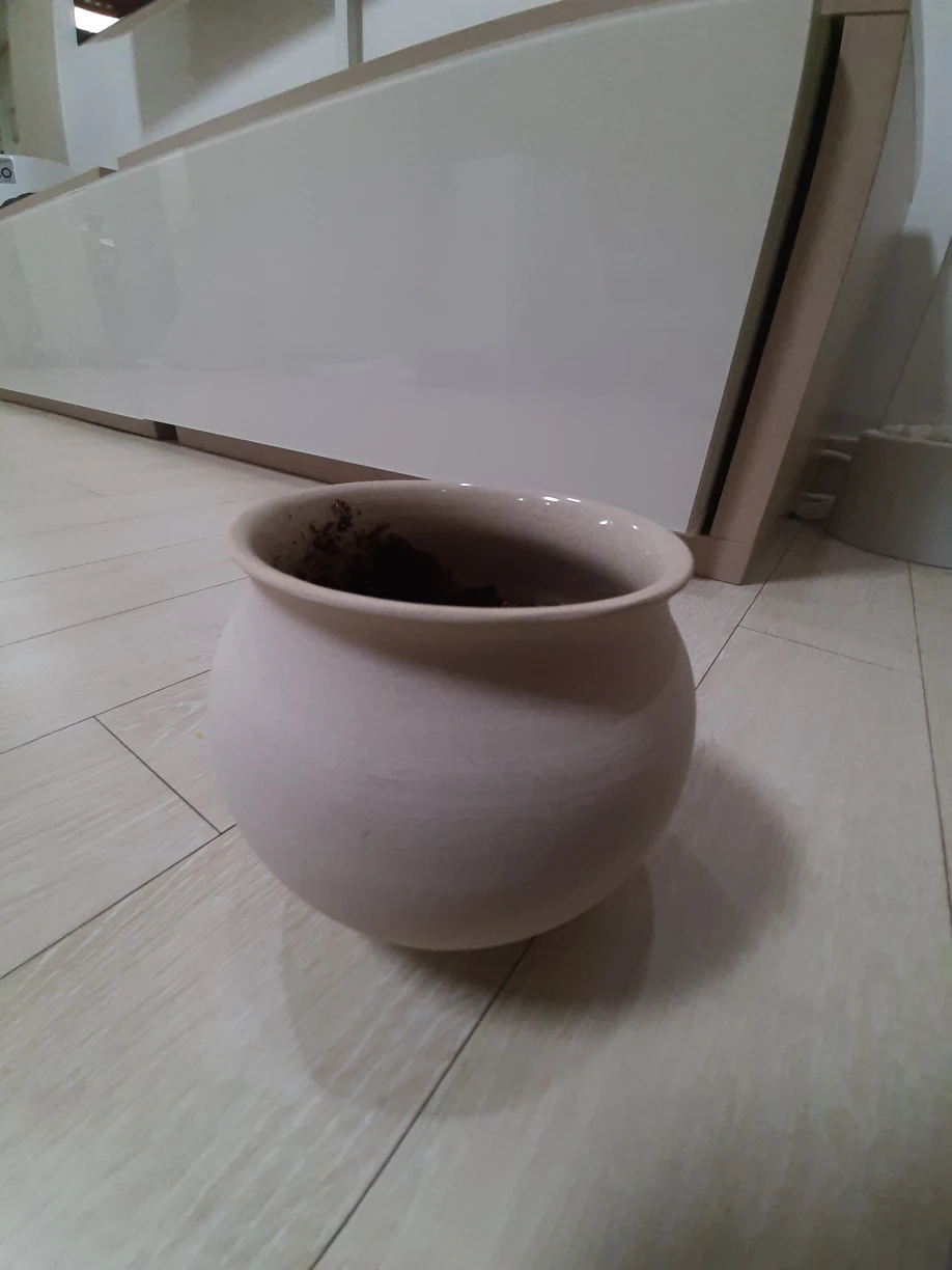 little pot - photo 2