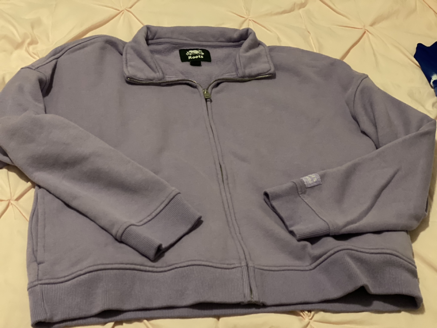 Roots purple sweater
