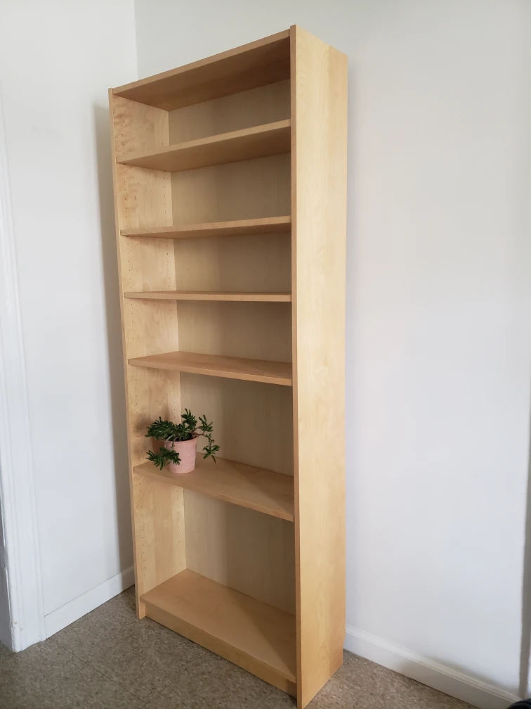 Birch Booksheve