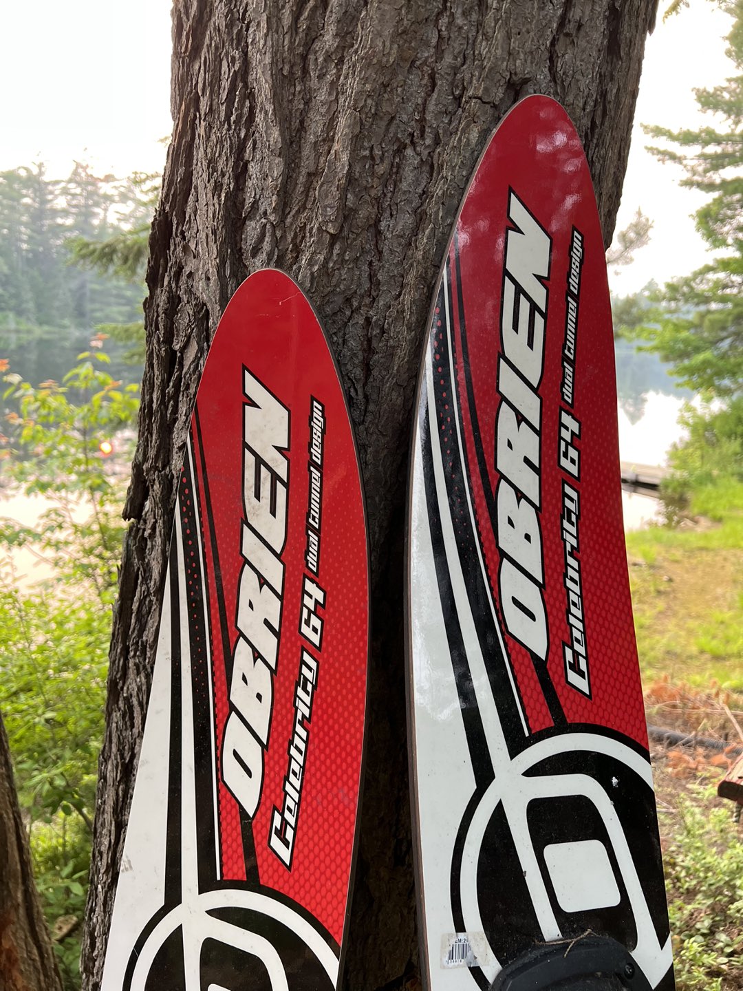 Water Skis image indicator(10)