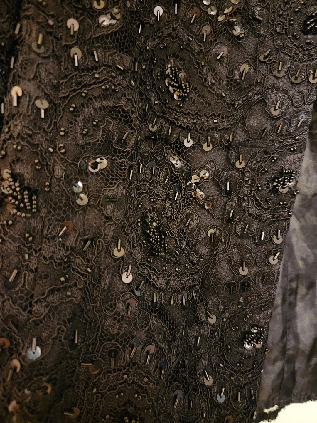 Lace Embroidered Blazer image indicator(3)