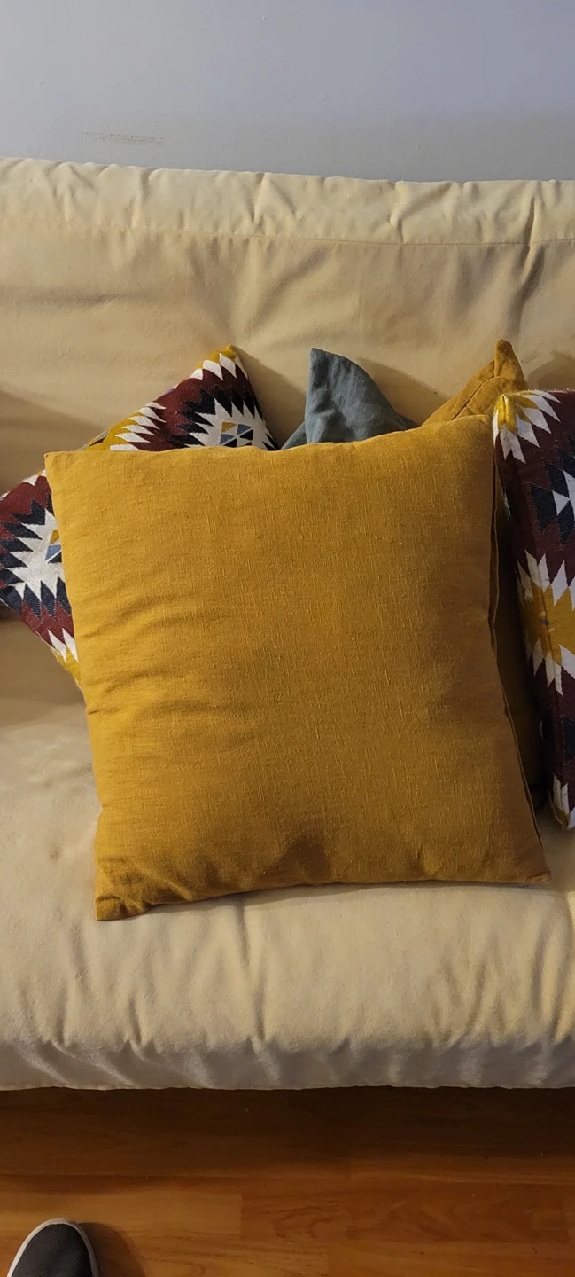 Free Pillows - photo 4