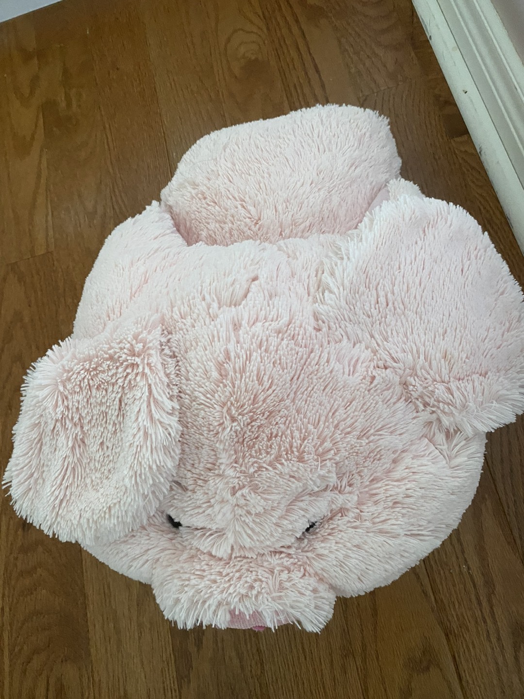 Toy image indicator(2)