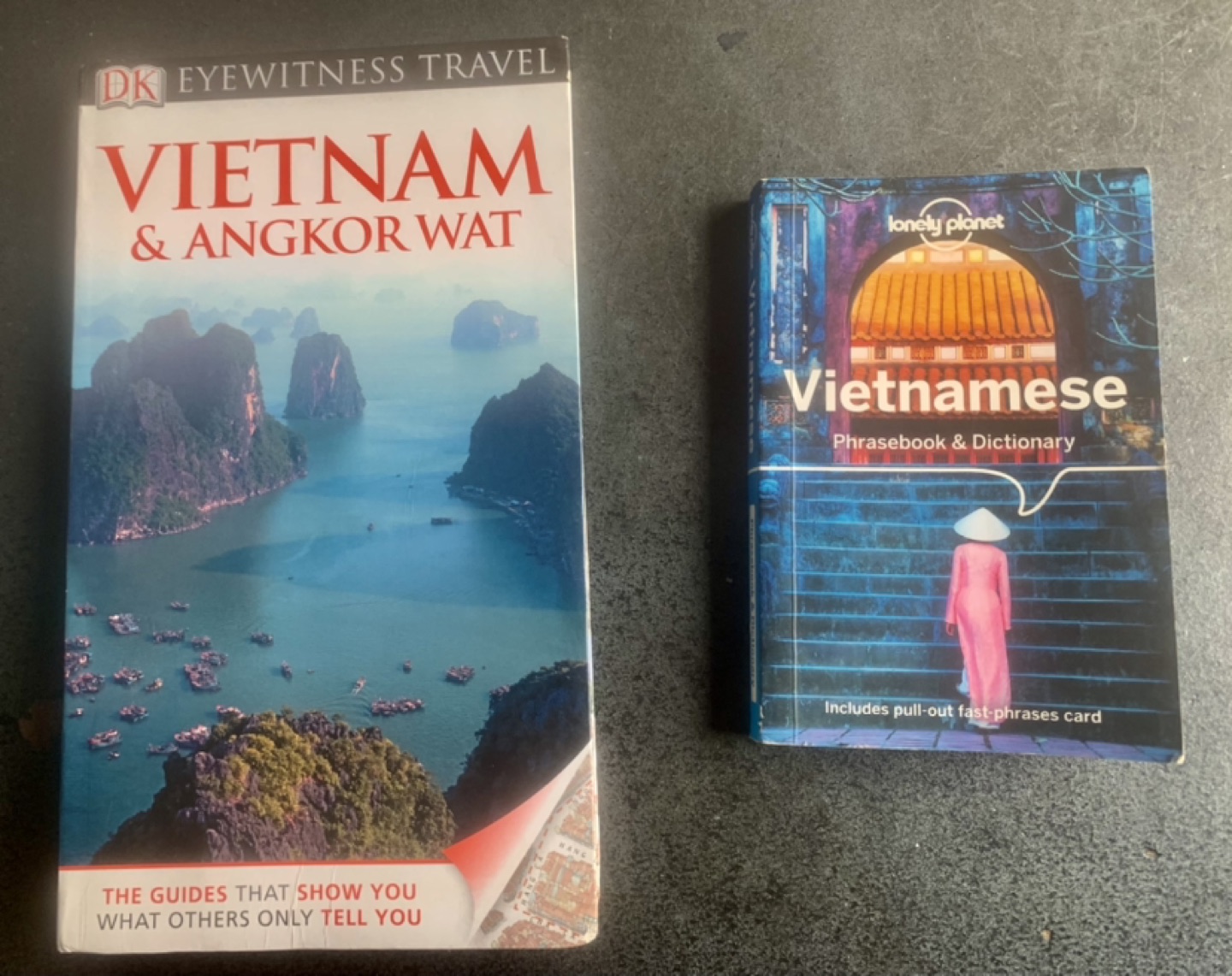 Travel Book & Phrasebook/Dictionary-Vietnam thumbnail
