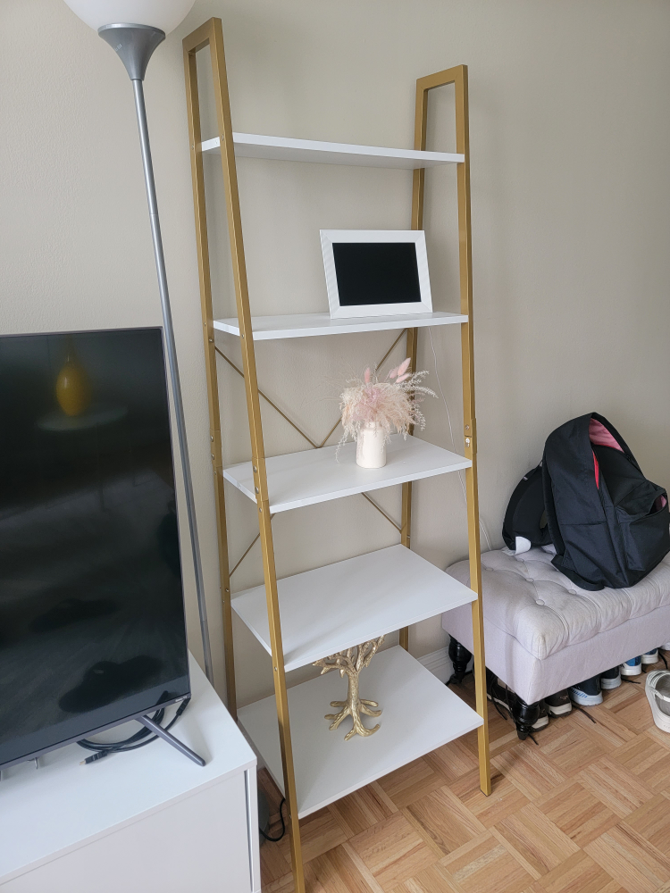 Book Shelf - photo 2