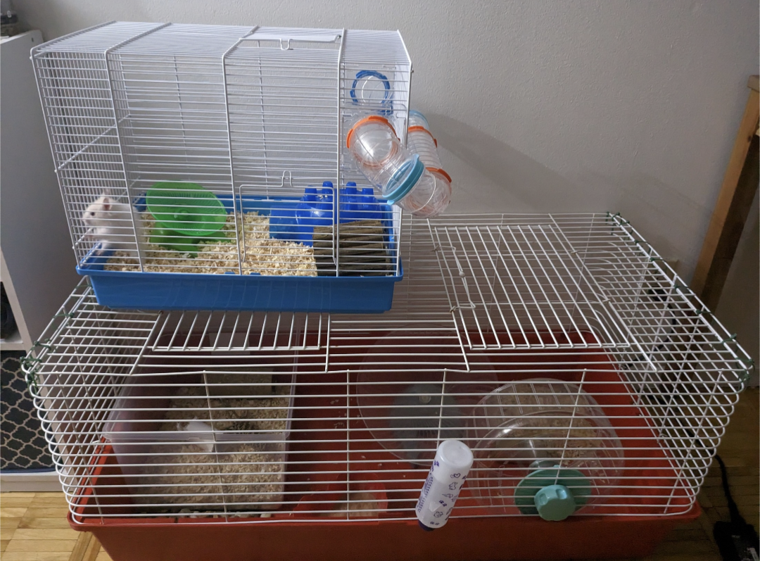 one big guinea pig / rabbit / hamster / small pet cage image indicator(3)
