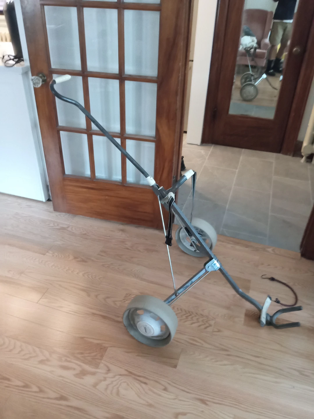 2 wheel golf cart