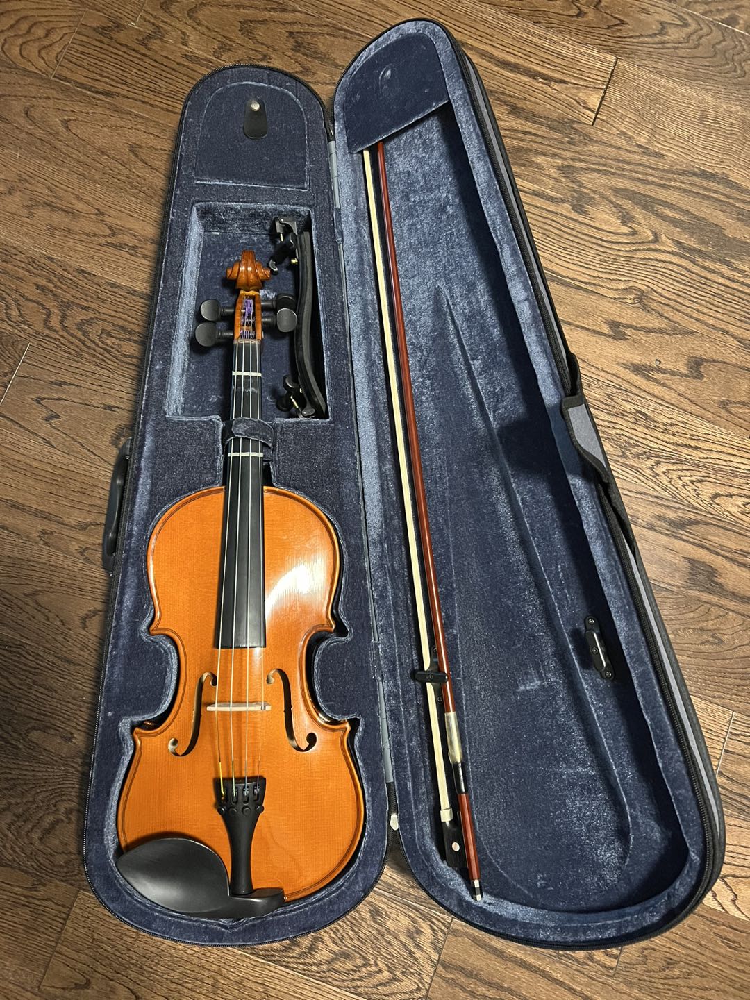 4/4 violin for display